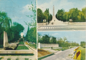 Poznań Cytadela widokowa - 037256