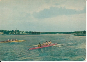 Poznań jezioro Maltańskie - 037273