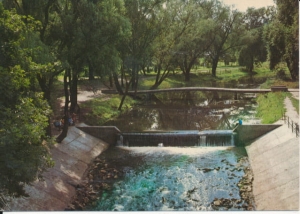 Włocławek park miejski - 037304