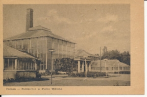 Poznań palmiarnia - 037343