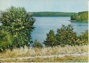 Wielkopolski Park Narodowy - 037364