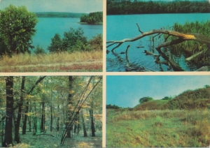 Wielkopolski Park Narodowy - 037369