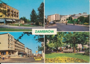 Zambrów widoki widokowa - 037398