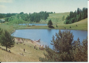 Stańczyki krajobraz - 037419