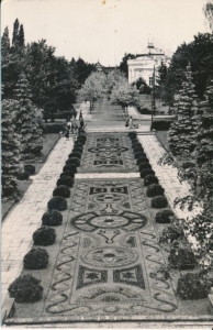 Ciechocinek dywan z kwiatów - 037484