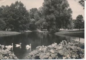 Szczecin park Kasprowicza - 037546