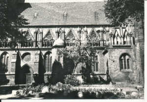 Kamień Pomorski katedra - 037640