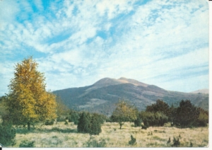 Bieszczady Połonina Zaryńska - 037835