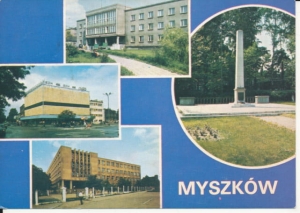 Myszków widoki widokowa - 037873