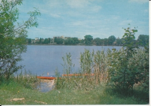 Międzychód jezioro miejskie - 037948