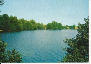 Krajobraz Ziemii Lubuskiej - 037951