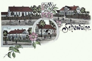 Zawonia widoki widokowa - Reprodukcja 42020