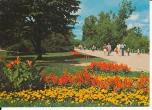 Świnoujście promenada nadmorska - 038065