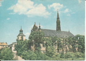 Sandomierz katedra - 038135