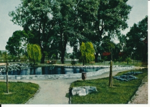 Skarżysko Kamienna park - 038179