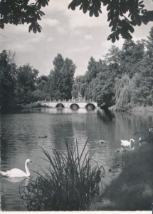 Warszawa most Sobieskiego - 038269