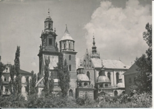 Kraków katedra - 038322