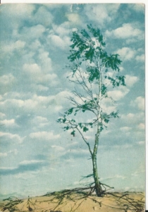 Łeba widoki - 038415