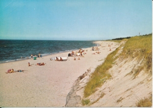 Łazy Bałtyk morze plaża - 038437