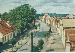 Łeba ul. Kościuszki - 038458