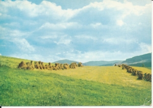 Rzeszów krajobraz ziemii rzeszowskiej - 038539