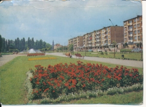 Leszno osiedle Grunwaldzkie - 038583