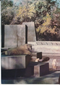 Warszawa ogród zoologiczny - 038590