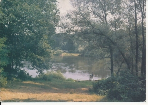 Wielkopolski Park Narodowy - 038608