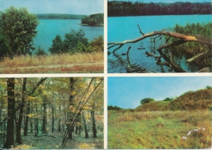 Wielkopolski Park Narodowy - 038609