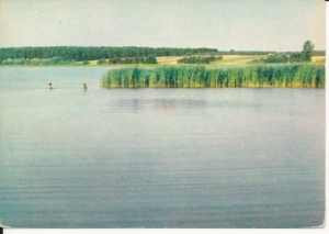 Wielkopolski Park Narodowy - 038610