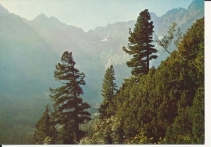 Tatry Wysokie - 038641