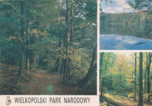 Wielkopolski Park Narodowy - 038710
