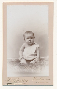 CDV Fotografia wzytowa - 24116