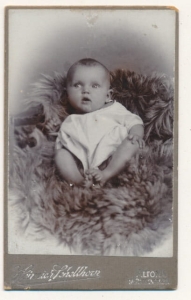 CDV Fotografia wzytowa - 24516