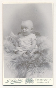 CDV Fotografia wzytowa - 24566