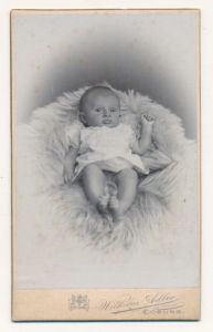 CDV Fotografia wzytowa - 24909