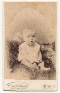CDV Fotografia wzytowa - 25085