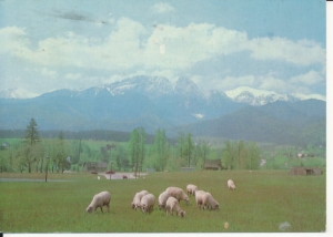 Polana Szymoszkowa - 039208