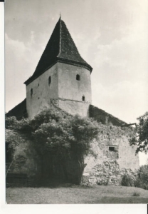 Sulejów Podklasztorze - 039234