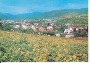Szczawnica Krościenko panorama - 039281