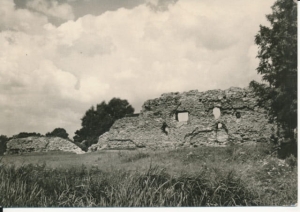 Szubin ruiny zamku - 039320