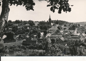 Cedynia panorama miasta - 039354
