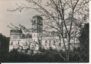 Krasiczyn zamek - 039366