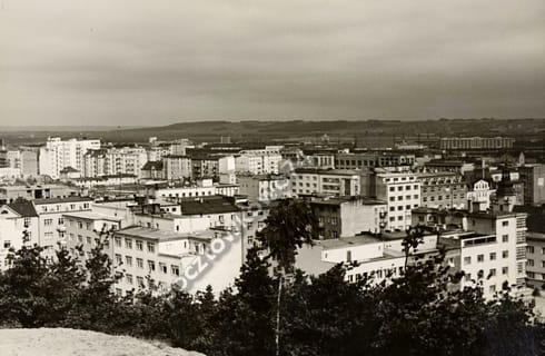 7113712246_1