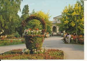 Busko Zdrój park - 039528