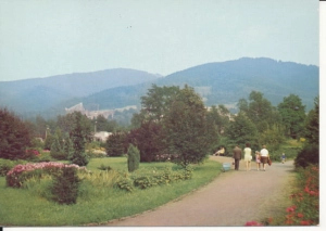 Ustroń park - 039655