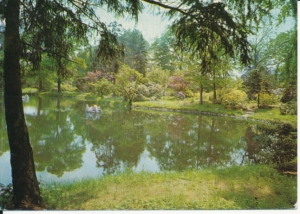 Wrocław park - 039689