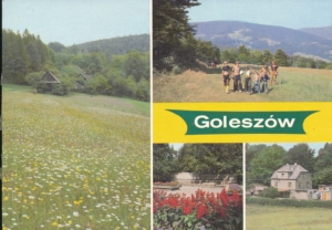 Goleszów widoki widokowa - 039774