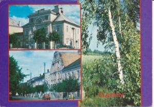 Gąbin widoki widokowa - 039794