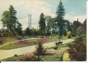 Gorlice fragment parku - 039805